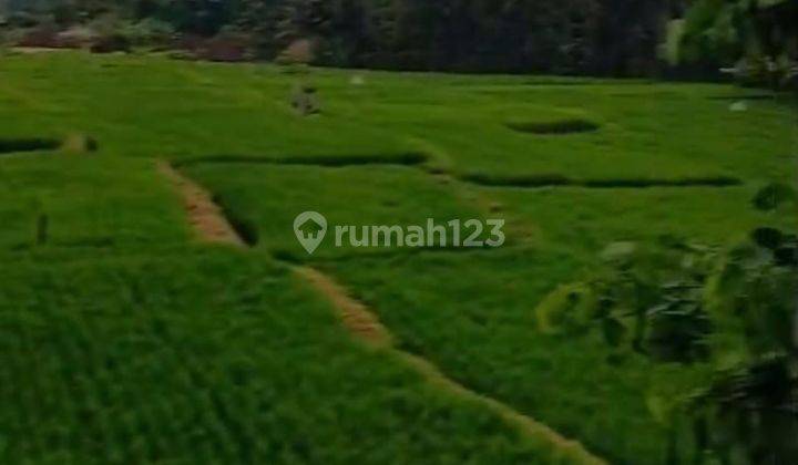 For Sale Villa 4 Are View Rice Fields In Ubud Cn 2