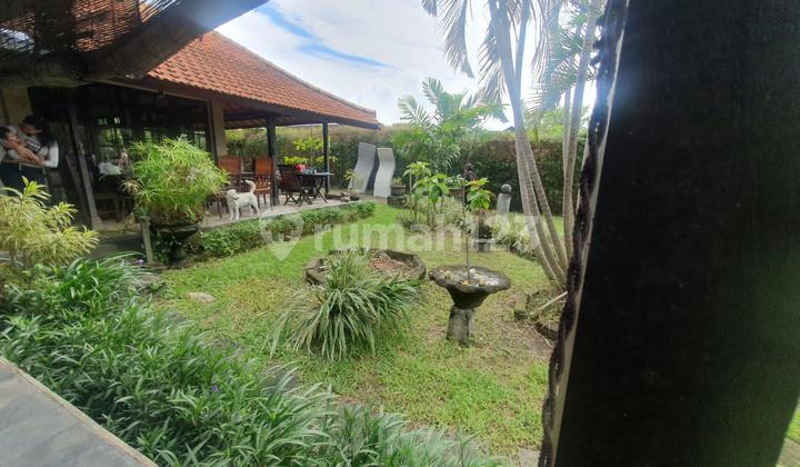 Dijual Villa Mewah 5 Menit Dari Canggu Dan Kuta It 2