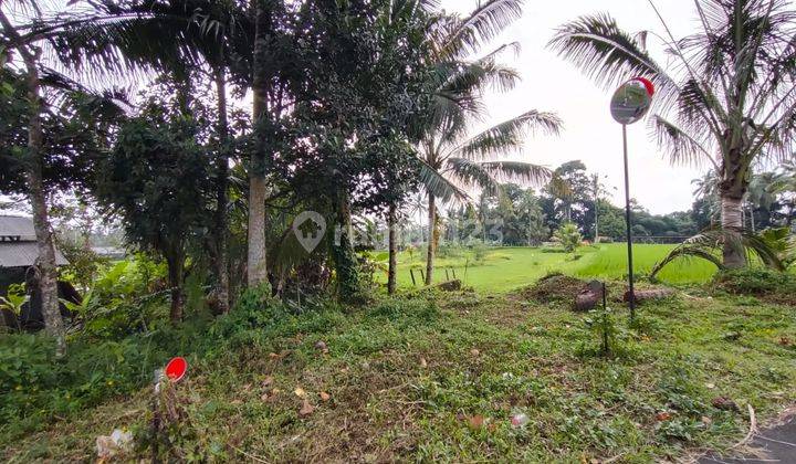 Dijual Tanah 1250 M² Shm View Gunung Agung Di Dekat Ubud Dd At 2