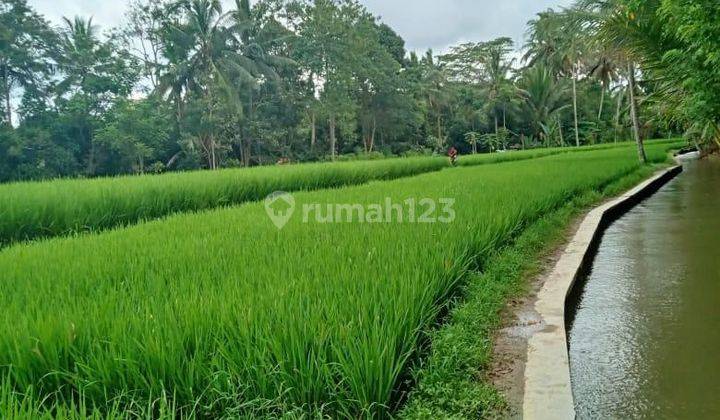 Dijual Tanah 1749 M² Di Tegallalang Gianyar Db 1