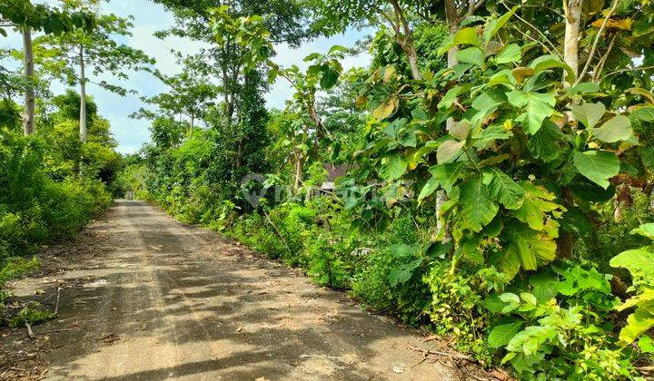 Disewakan Jangka Panjang Tanah 6 Ha Di Balangan Lc 2