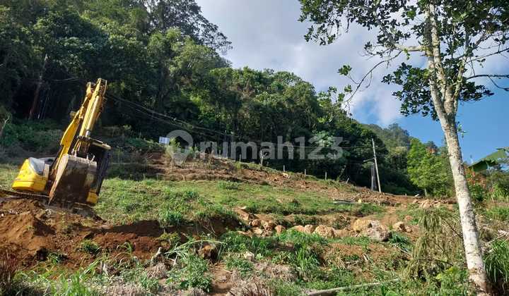 Dijual Tanah View Pegunungan Luas 60 Are Di Bedugul Ri