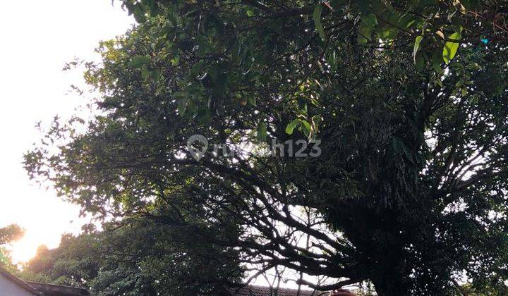 KAVLING DI MAINROAD LEMBANG COCOK UNTUK USAHA 5