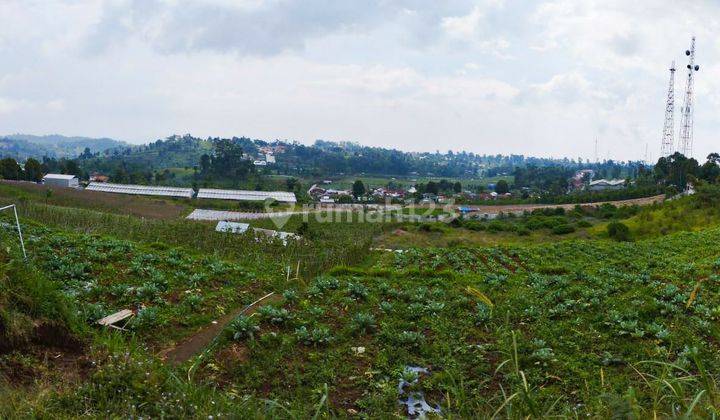 Dijual tanah di Desa Cipada 1