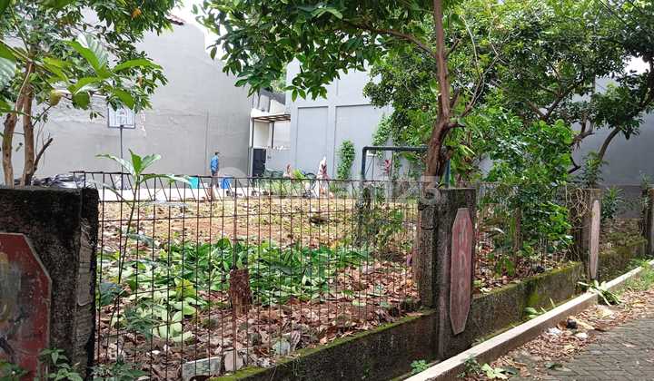 Dijual Sebidang Tanah Siap Bangun Area Cilandak Jakarta Selatan Dijual Sebidang Tanah Siap Bangun Area Cilandak Jakarta Selatan