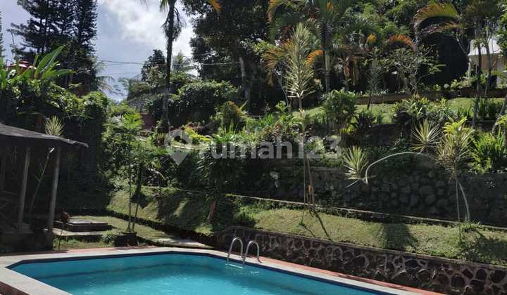 Di Jual Villa Area Puncak Cocok Untuk Out Bound Puncak