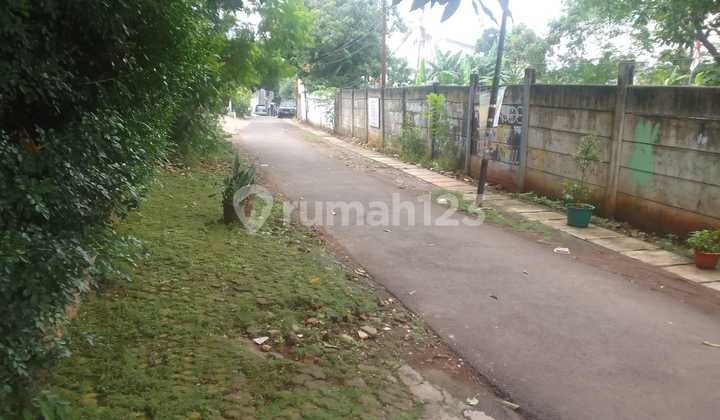 Old House Only Land Value Based on NJOP Pejaten 2