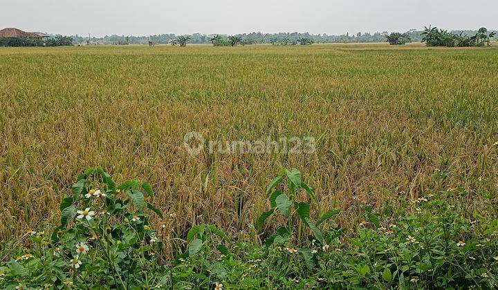 Tanah industri 30ha Cikande  1