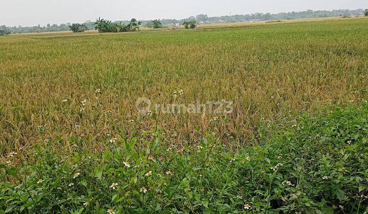 Tanah industri 30ha Cikande  2