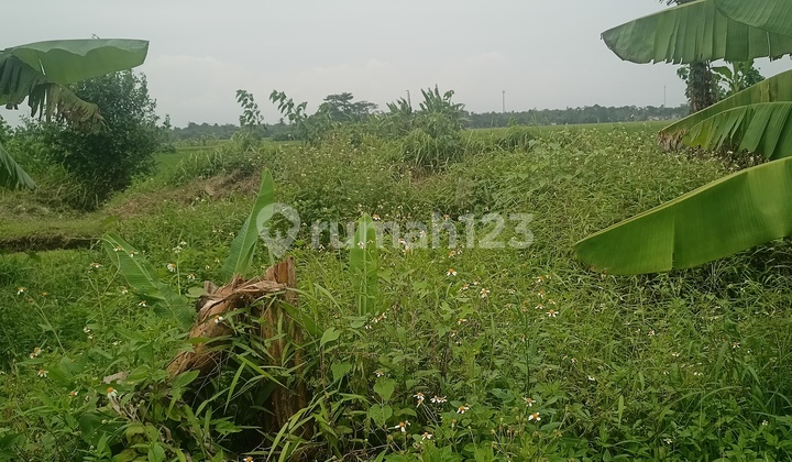 Tanah Cikande Serang Tanah Cikande Serang