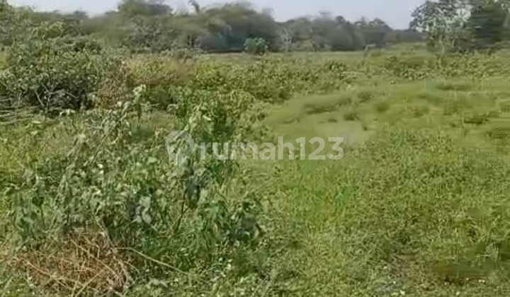 Tanah Cikande Kab Serang