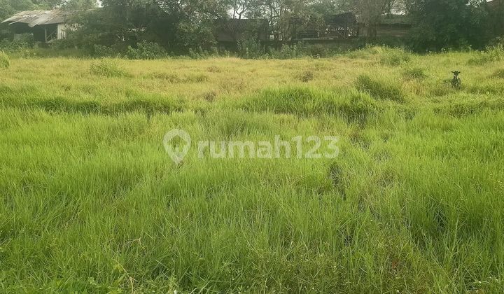 Tanah Serang Banten Tanah Serang Banten