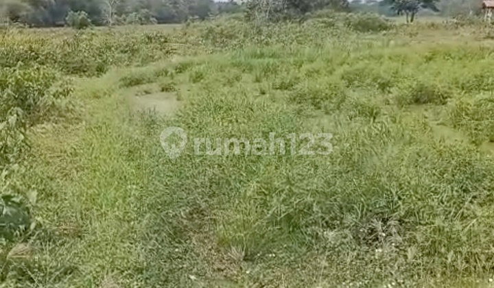 Tanah Cikande Kab Serang