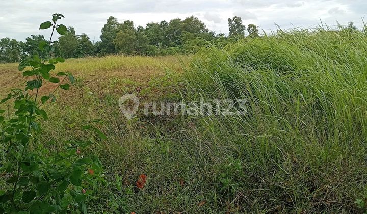 Tanah Cikande Serang