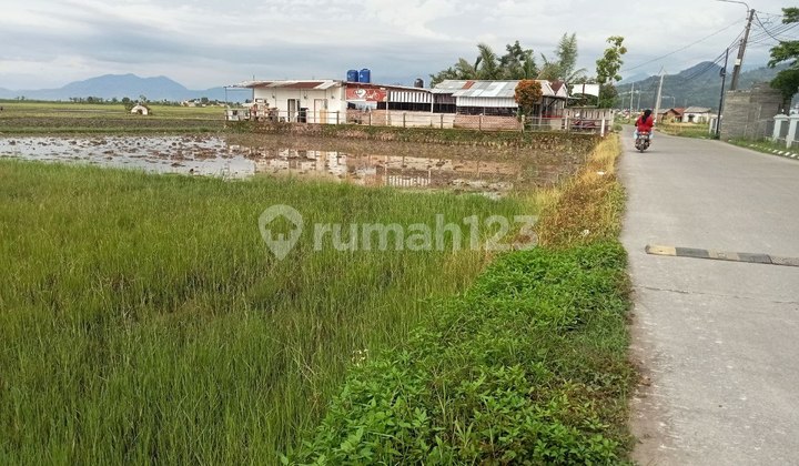 TANAH STRATEGIS PINGGR JALAN Bisa buat kavlingan maupun pertokoan