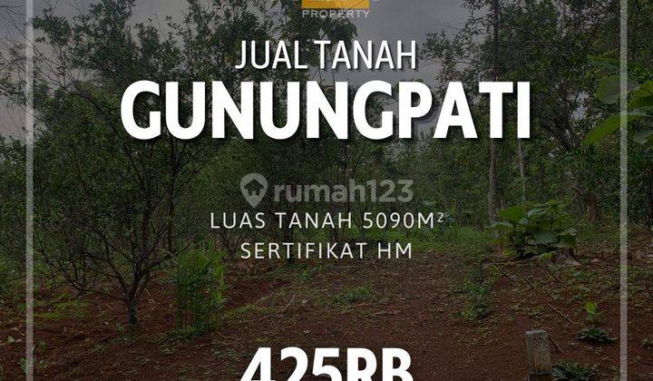 Tanah MURAH di Gunungpati SHM 1