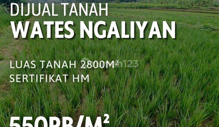 Tanah Sawah Di Wates Ngaliyan Semarang Shm  1