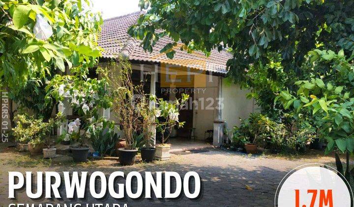 Rumah Siap Huni Di Purwogondo Semarang Utara 1