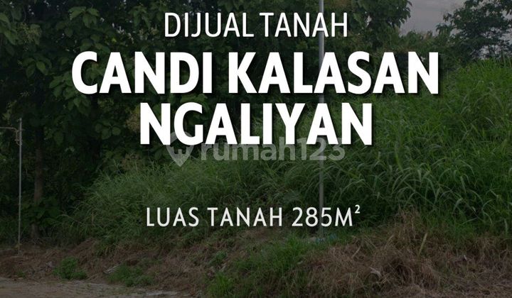 Tanah Murah Di Candi Kalasan Ngaliyan Semarang 1