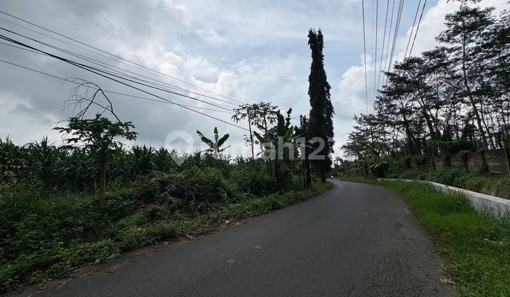 Tanah Murah di Polaman Mijen Semarang Pinggir Jalan 2