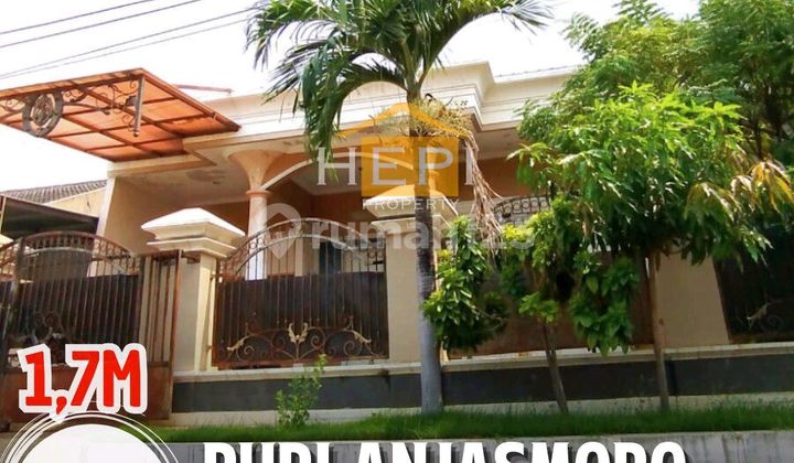 Rumah Strategis Di Puri Anjasmoro Semarang Shm 1