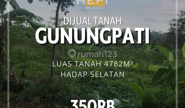 Tanah MURAH Di Rejosari Gunung Pati STRATEGIS 