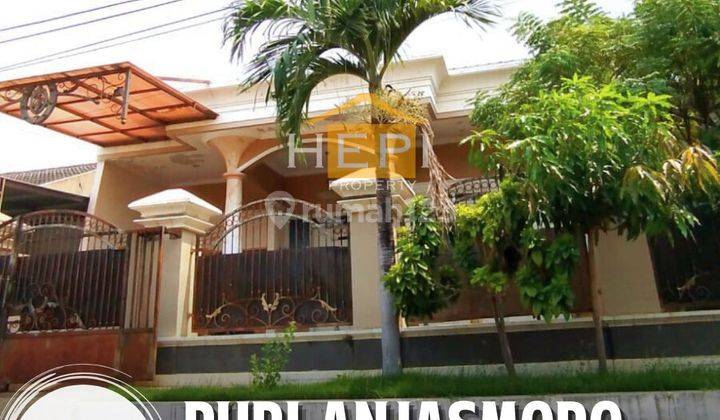 Rumah Strategis Di Puri Anjasmoro Semarang Shm 1