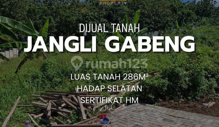 Strategic Land in Jangli Gabeng Semarang, 100 Meters to Jangli Raya 1