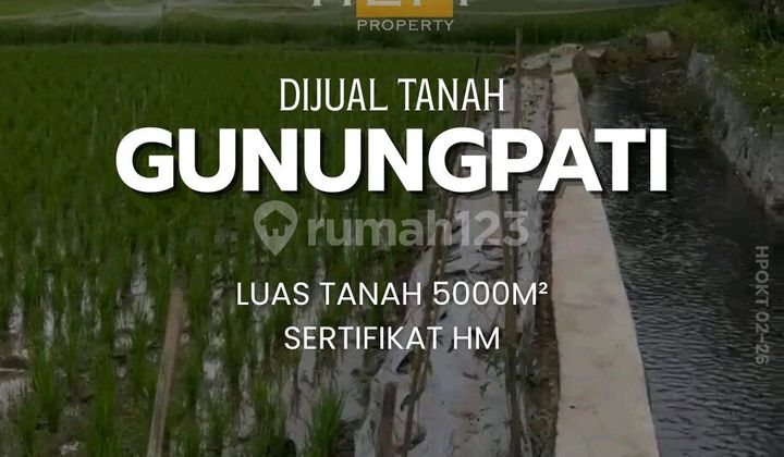 Tanah Sawah Murah di Gunungpati Semarang 1