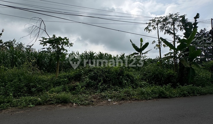 Tanah Murah di Polaman Mijen Semarang Pinggir Jalan 1