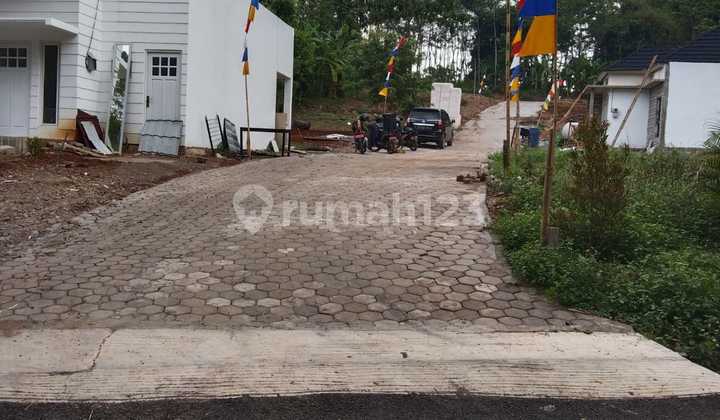 Tanah 2500 m2 SHM Ngaliyan 1