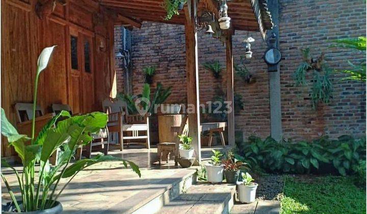 Rumah Siap Huni Terawat Tropical Style Di Bintaro Jaya Tangerang 2