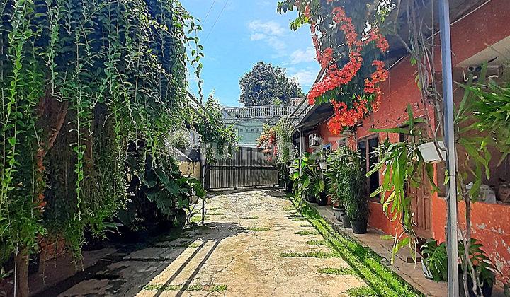 Single-Story Bohemian Mexican Style House Suitable for Office/Business 2