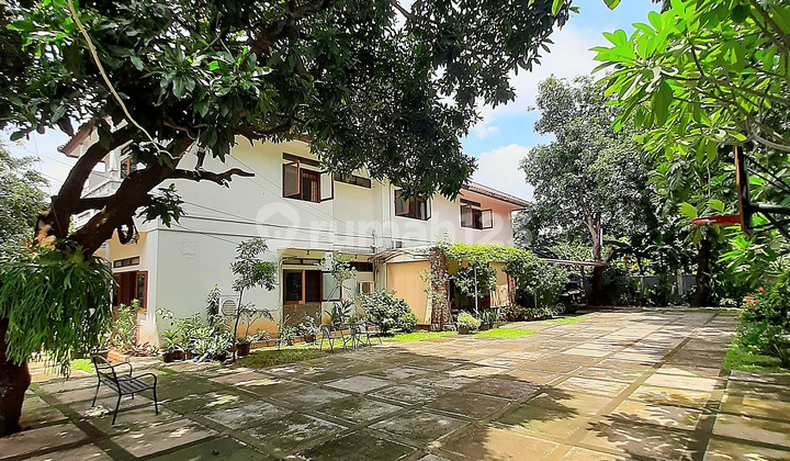 Rumah Old Money Tanah Luas Nego Sampai Deal Dekat Citos