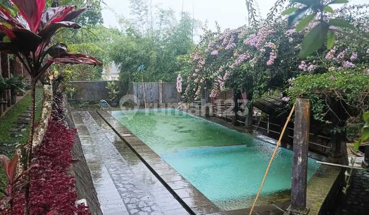 Dijual Villa Asri Sejuk Di Kampung Katineung Cipanas - Cianjur