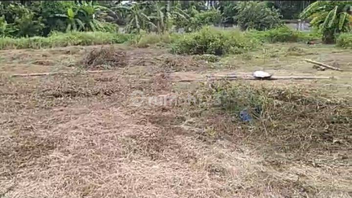 Lahan Komersil, Tanah Luas di Pinggir Jalan Raya Pantura, Subang, Karawang Harga Nego 5