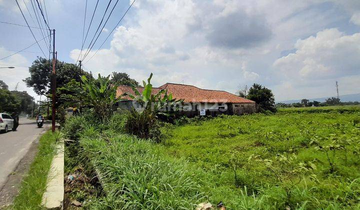 Tanah Kavling Murah, Harga Njop di Ciluar, Bogor Utara Dekat Sentul Cocok Dibangun Cluster Perumahan, View Gunung  9
