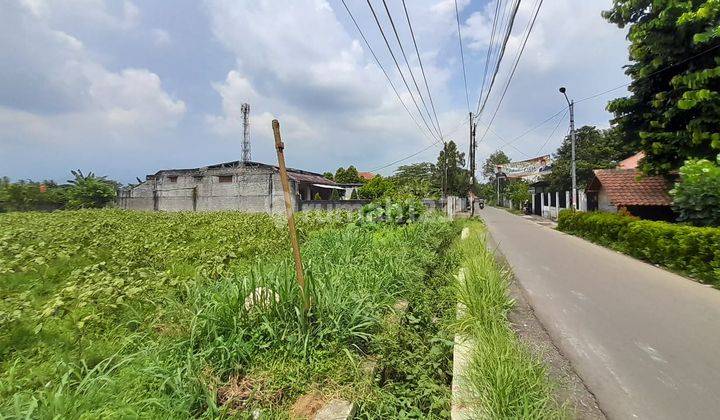 Tanah Kavling Murah, Harga Njop di Ciluar, Bogor Utara Dekat Sentul Cocok Dibangun Cluster Perumahan, View Gunung  10