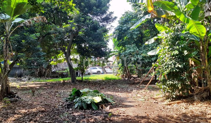 Tanah Di Munjul Cipayung Jak Tim Luas 1.649m2 Cocok Dibangun Cluster