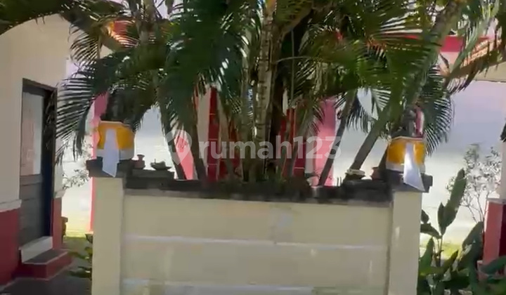 Elite Boarding Houses for Sale Near Campus in Sidakarya Elite Boarding Houses for Sale Near Campus in Sidakarya