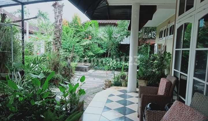 Rumah Cantik Strategis Area Pusat Kota Denpasar 2