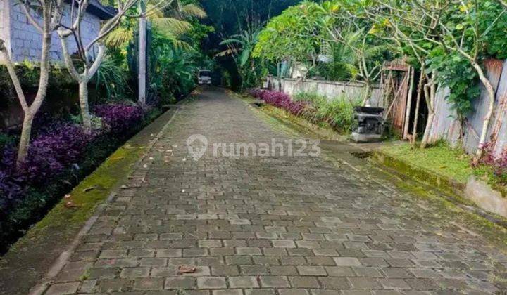 Dijual Tanah Zona Pemukiman Sangatt Murah  1