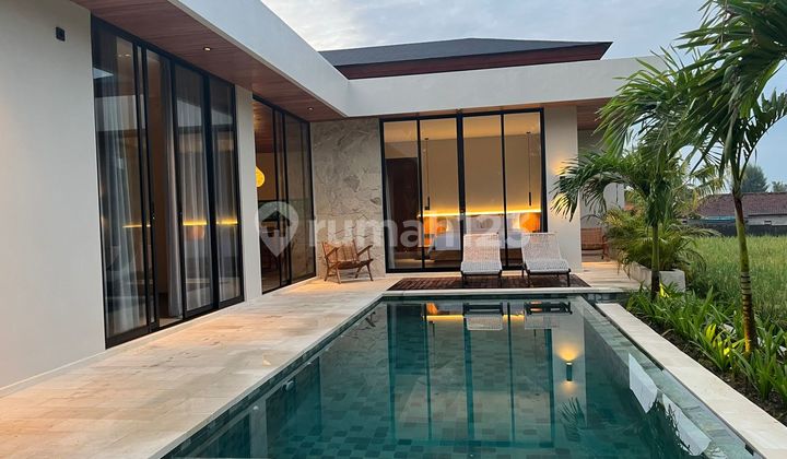 Brand New Modern Tropical Villa In Ubud