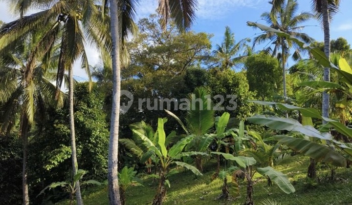 Di Jual Tanah Itr Kuning Di Selemadek Tabanan