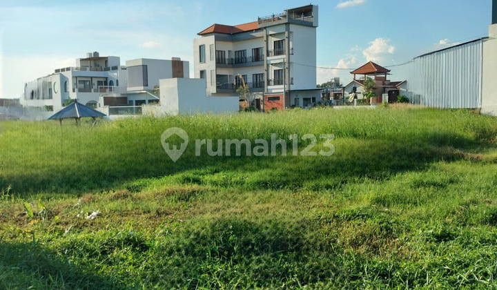For Sale / For Rent Land In Canggu Area For Sale / For Rent Land In Canggu Area