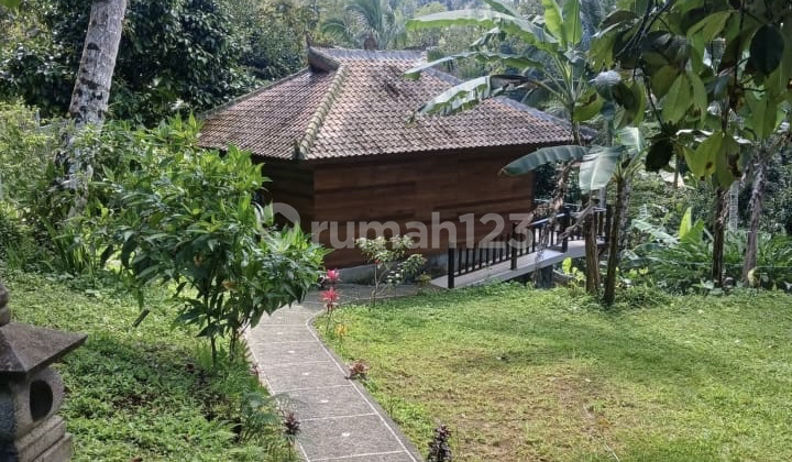 For Rent Bungalow Studio - Selemadek Tabana For Rent Bungalow Studio - Selemadek Tabana