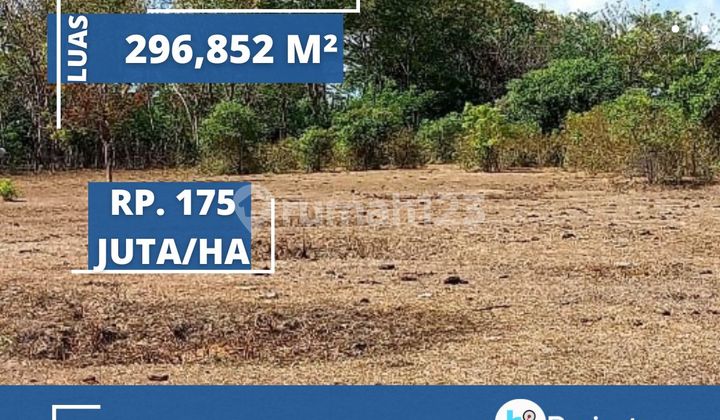 Tanah Sumbawa 296,852 M2 di Maronge T681 1