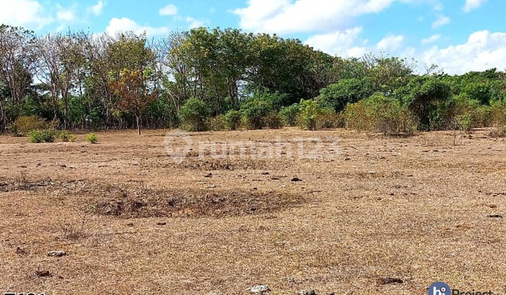 Tanah Sumbawa 296,852 M2 di Maronge T681 2