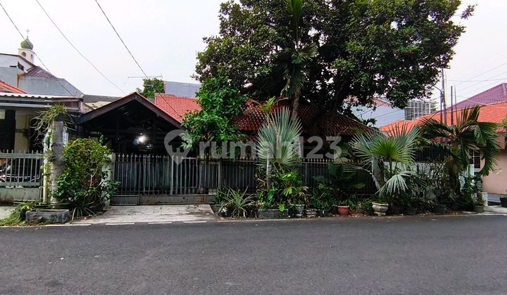 Rumah Rawamangun Dalam Komplek Jalan Lumba Lumba Raya, Harga Tanah