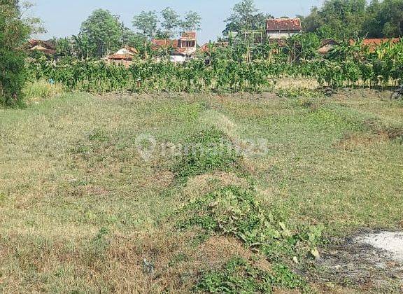 Tanah Siap Pakai Dekat Universitas Muhamadiah Dekat Pabrik Rokok Juga Dekat Pusat Perbelanjaan 2